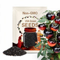 20 Black Beauty Heirloom Tomato Seeds - Organic - OP