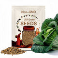 Korean Napa Cabbage Seeds: Kimchi Cabbage, Non-GMO, 휘모리 배추