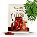 Buckeye / Chestnut Tree Seeds