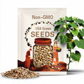 Gourd Peru Sugar Bowl seed 10