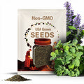 Horehound Seeds, Marrubium Vulgare Seed Packet, (50 Seeds)