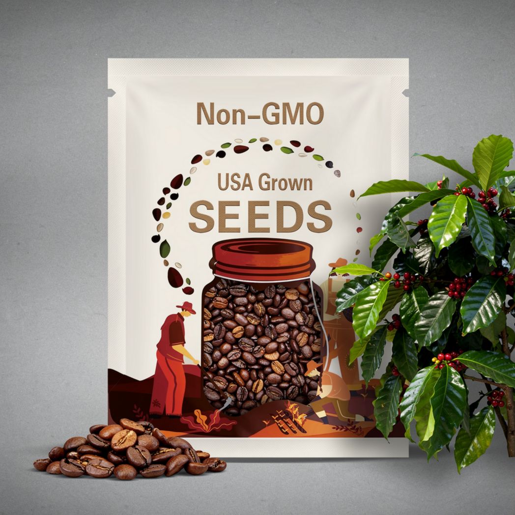 Organic Arabica Coffee Plant Seeds - Costa Rica Variety
