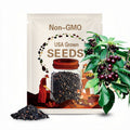 Rare BLACK CHERRY- -Very Sweet and Tasty fruit tree (Fresh harvested in our Usa Farm) Ships fast same day!