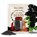 Black Halfeti Rose Seeds: Cold Hardy, Dark Blooms