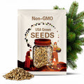 Nordmann Fir Tree Seeds (ABIES NORDMANNIANA)(Caucasian Fir)