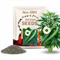 Okra Perkins Long Pod Seeds 30 Ct Vegetable NON-GMO HEIRLOOM