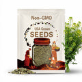 Camelina Seeds (Camelina sativa) Packet of 50 Seeds - Palm Beach Seed Company