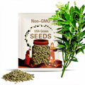 Thai Holy Basil Seeds: Vegetable Garden Seeds