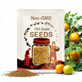 Minnesota Midget Cantaloupe Seeds 25+ Mini Melon Fruit NON-GMO USA