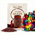 Rainbow Rose Seeds – Colorful Garden Flowers