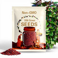 Red Malabar Spinach Seeds (Basella alba ‘Rubra’)