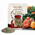 10 'Orange Bulldog Pumpkin' Seeds, Disease Resistant Jack-o’-lantern, Cucurbita maxima, University of Georgia Pumpkin Seeds, Seed The Stars