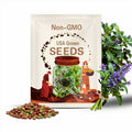 Heirloom Freckles Romaine lettuce seeds - Grown and Harvested in USA ! Tasty ! Fresh ! Easy to Grow ! Gorgeous !