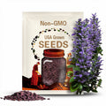 Purple Perilla Seeds - A Dream for Herbs, Cuisine & Decoration l 神秘紫色紫苏种子 - 香草、料理与装饰的梦幻逸品 | 50+ seeds