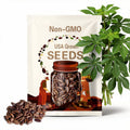 Paw Paw Seeds - QTY 5 or 10