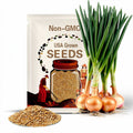 400+YELLOW SWEET SPANISH Onion Seeds Organic Non-Gmo Heirloom Vegetable Garden Long Day Easy