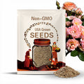 30 Seeds | Peach Drift Rose Seeds - Perennial - Authentic Seeds - Mix Seeds - Late Winter to Early Spring Planting Time - .#1171