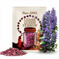 Cerise Queen Yarrow Seeds | Achillea Millefolium | Non-GMO | Flower Seeds | Seed Store | 1268