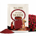 Scarlet Red Creeping Thyme Seeds: Perennial Ground Cover - 600