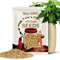 Luffa Gourd Sponge SEEDS Organic Loofah