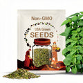 Heirloom Green Shiso (Perilla) - 500 Seeds One gram! Asian ! Cooking ! Tasty ! Fresh ! Herb !