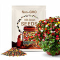 Allure Mix Begonia Seeds: Vibrant Garden Flowers, Non GMO