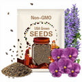 Viola Seeds Admire Orchid Seeds
