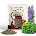 Grand Rapids Lettuce Seeds 600+ Vegetable NON-GMO USA