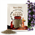 Lacy phacelia (Phacelia tanacetifolia) 100+ seeds. Annual seeds