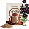 Poppy, After Midnight - 100 Seeds - Heirloom Flower, Black Blooms, Great for Cut Flowers & Arrangements (Papaver somniferum)