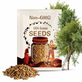 Mesquite Tree Seeds