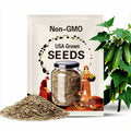 Sweet Burpless Cucumber Seeds