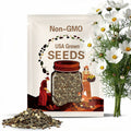 Cosmos Cupcake White Seeds – 25 Non-GMO Annual Flower Seeds | Easy to Grow, Full Sun, Summer to Fall Blooms